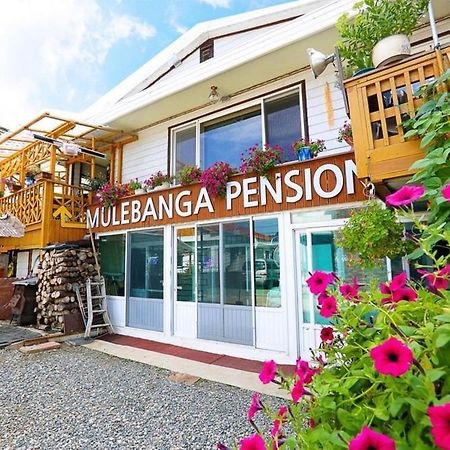 Osakae Anteo Mulraebang-A Pension Jangjang Kültér fotó